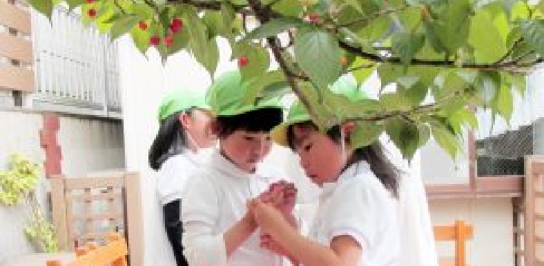 「自然」へのこだわり…五感編